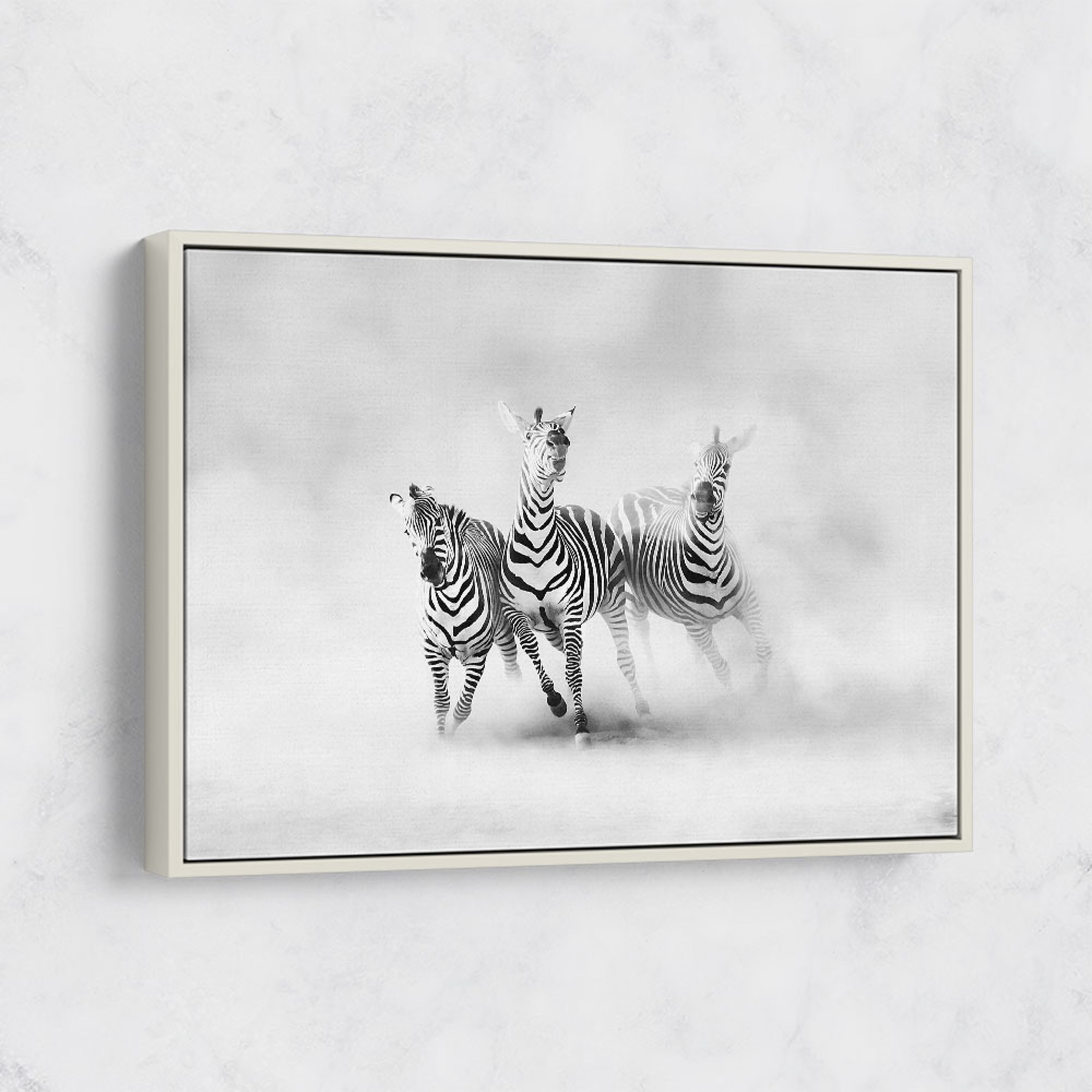 Zebras Wall Art